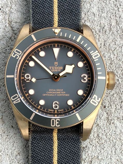 tudor bronze bucherer|m79250ba.